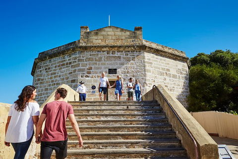 Full-Day Penguin Island & Fremantle Town - Accommodation Burleigh 4