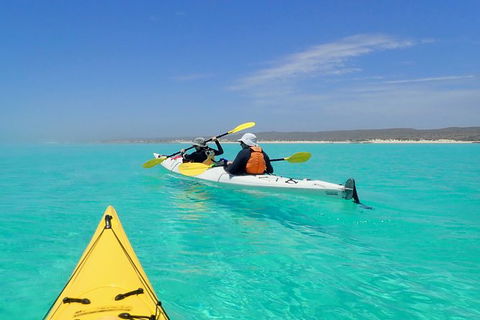 Lagoon Explorer - Ningaloo Reef Full-Day Kayaking And Snorkeling Adventure - Accommodation Burleigh 7