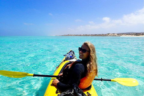 Lagoon Explorer - Ningaloo Reef Full-Day Kayaking And Snorkeling Adventure - Accommodation Burleigh 2