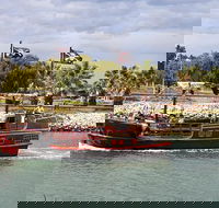 The Pirate Cruise in Mandurah on Viator - Accommodation Burleigh