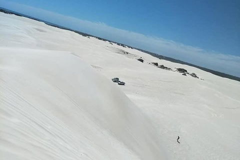 Yanchep & Lancelin - Wildlife, Cave And Sands - Accommodation Burleigh 3