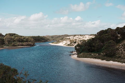 Yanchep & Lancelin - Wildlife, Cave And Sands - Accommodation Burleigh 6