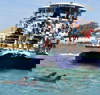 Mandurah Dolphin and Scenic Marine Cruise - Accommodation Burleigh