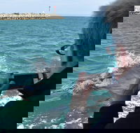 Mandurah Dolphin Island Adventure - Accommodation Burleigh