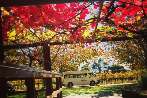 Ultimate Swan Valley Food And Wine Day Trip From Perth - Accommodation Burleigh 12