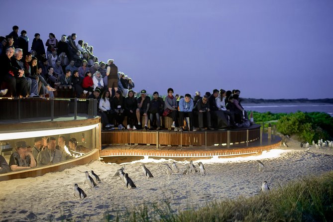 Phillip Island VIC Accommodation Burleigh