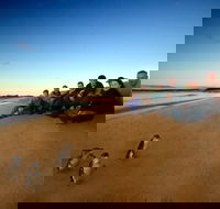 Phillip Island Ultimate Penguin Eco Tour or Skybox Experience - Accommodation Burleigh