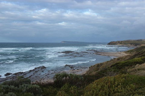 Wilsons Promontory Day Trip From Phillip Island - Accommodation Burleigh 1