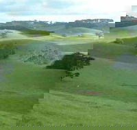 Day Tour of Phillip Island  Surrounding Region - Accommodation Burleigh
