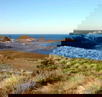 Phillip Island Walking  Bird Watching Tour - Accommodation Burleigh