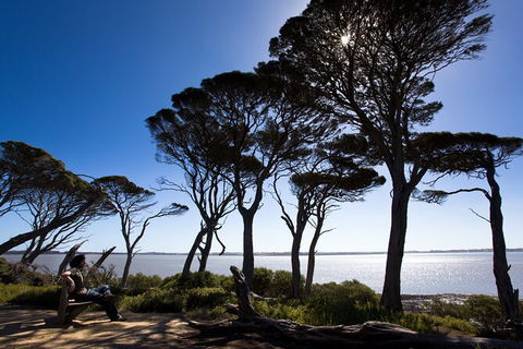 2 Day Exclusively Private Tour Of Phillip Island & The Penguin Parade - Accommodation Burleigh 9
