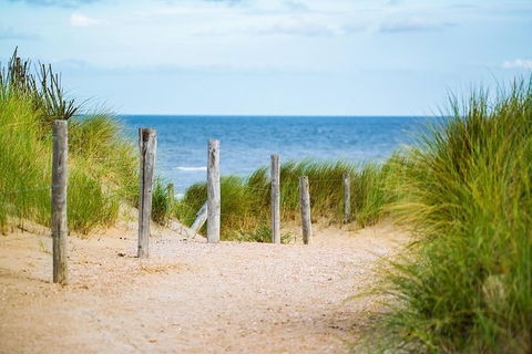 2 Day Exclusively Private Tour Of Phillip Island & The Penguin Parade - Accommodation Burleigh 3