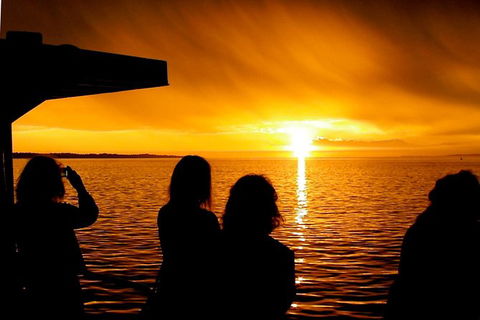 Phillip Island Twilight Cruise - Accommodation Burleigh 1