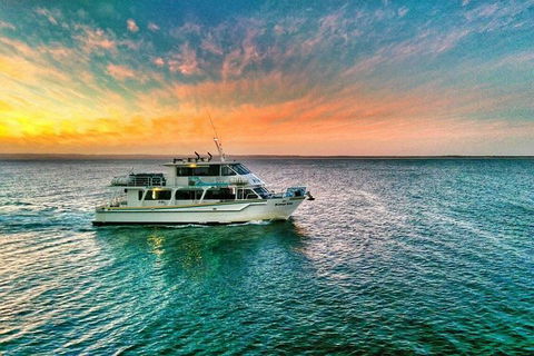 Phillip Island Twilight Cruise - Accommodation Burleigh 3