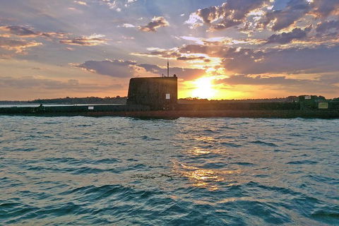 Phillip Island Twilight Cruise - Accommodation Burleigh 5