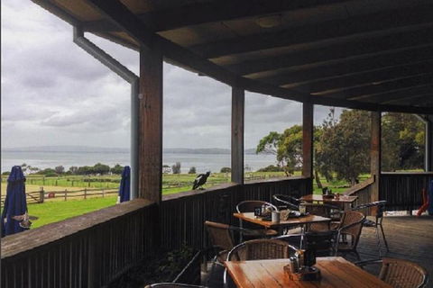 Day Tour Of Phillip Island, The Surrounding Region And Wine Tasting - Accommodation Burleigh 1