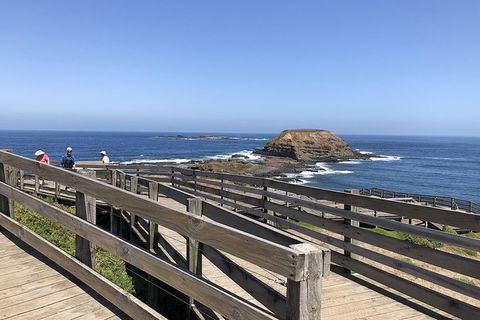Day Tour Of Phillip Island, The Surrounding Region And Wine Tasting - Accommodation Burleigh 14