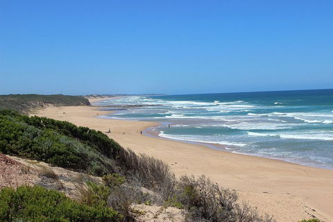 Day Tour Of Phillip Island, The Surrounding Region And Wine Tasting - Accommodation Burleigh 5