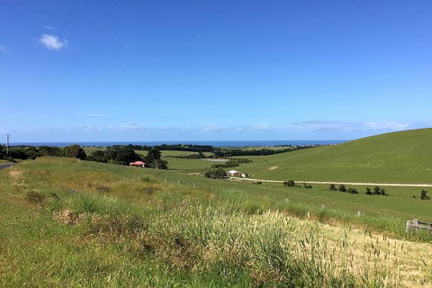 Day Tour Of Phillip Island, The Surrounding Region And Wine Tasting - Accommodation Burleigh 6