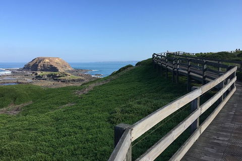 Day Tour Of Phillip Island, The Surrounding Region And Wine Tasting - Accommodation Burleigh 11