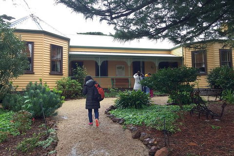 Day Tour Of Phillip Island, The Surrounding Region And Wine Tasting - Accommodation Burleigh 12
