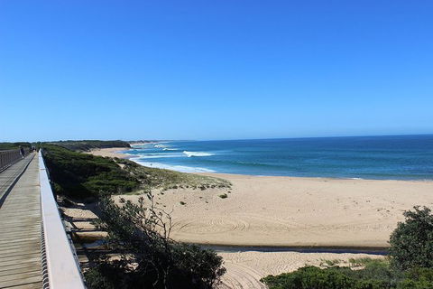 Day Tour Of Phillip Island, The Surrounding Region And Wine Tasting - Accommodation Burleigh 4