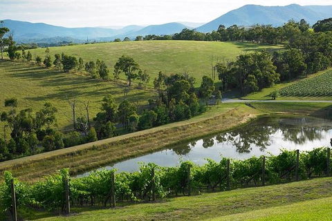CHEVY CONVERTIBLE Package For 2 People- Wine Lunch Cheese & Chocolate From Melb. - Accommodation Burleigh 9