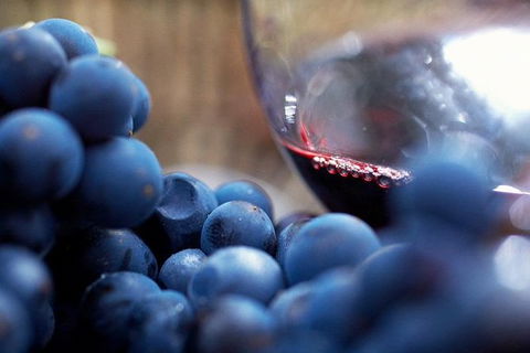 Ultimate Mornington Peninsula Food And Wine Small Group Tour - Accommodation Burleigh 1