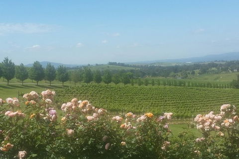 Ultimate Mornington Peninsula Food And Wine Small Group Tour - Accommodation Burleigh 0