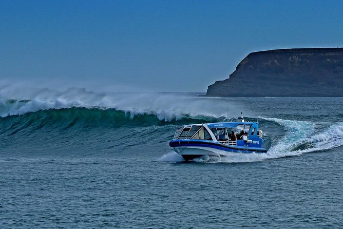 Phillip Island VIC Accommodation Burleigh