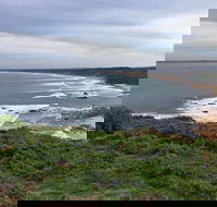 Half Day Phillip Island Woolamai Walking Tour - Accommodation Burleigh