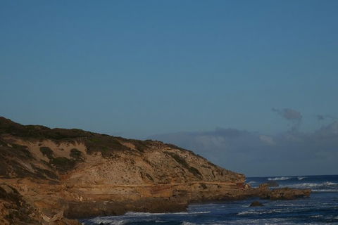 Mornington Peninsula Tour - Accommodation Burleigh 0