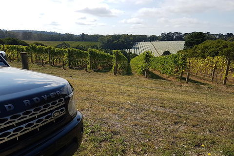 Mornington Peninsula Tour - Accommodation Burleigh 1