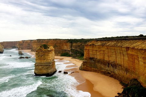 Ultimate Reverse Direction - 12 Apostles, Great Ocean Road - Small Group Tour - Accommodation Burleigh 1