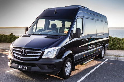 Ultimate Reverse Direction - 12 Apostles, Great Ocean Road - Small Group Tour - Accommodation Burleigh 4