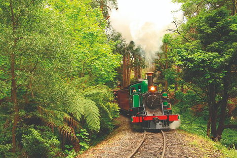 Half Day Puffing Billy Train Journey From Melbourne - Accommodation Burleigh 2