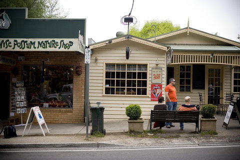 Half Day Puffing Billy Train Journey From Melbourne - Accommodation Burleigh 10