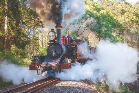 Half Day Puffing Billy Train Journey From Melbourne - Accommodation Burleigh 4