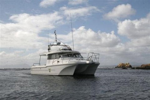 Bonnet Island Experience Departing From Strahan - Accommodation Burleigh 1