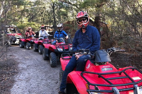 Quad Bike 2-Hour Adventure: Freycinet National Park - Accommodation Burleigh 8