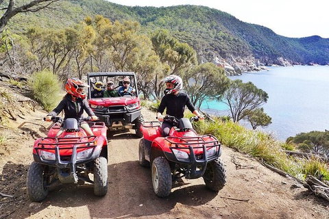 Quad Bike 2-Hour Adventure: Freycinet National Park - Accommodation Burleigh 2