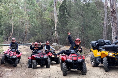 Quad Bike 2-Hour Adventure: Freycinet National Park - Accommodation Burleigh 4
