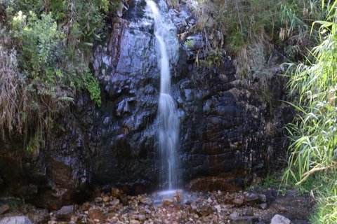 Self-Guided Waterfall Gully To Mount Lofty Hike From Adelaide - Accommodation Burleigh 2