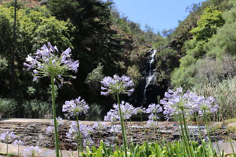 Self-Guided Waterfall Gully To Mount Lofty Hike From Adelaide - Accommodation Burleigh 6
