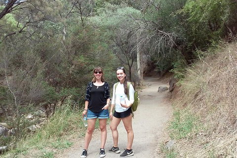 Self-Guided Waterfall Gully To Mount Lofty Hike From Adelaide - Accommodation Burleigh 4
