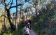 Self-Guided Waterfall Gully To Mount Lofty Hike From Adelaide - thumb 7