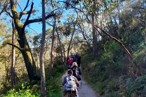 Self-Guided Waterfall Gully To Mount Lofty Hike From Adelaide - Accommodation Burleigh 7