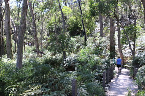 Self-Guided Waterfall Gully To Mount Lofty Hike From Adelaide - Accommodation Burleigh 3