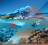 3-Day Southern Great Barrier Reef Tour Including Lady Musgrave Island - Accommodation Burleigh