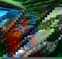 Skyrail Rainforest Cableway Day Trip from Palm Cove - Accommodation Burleigh